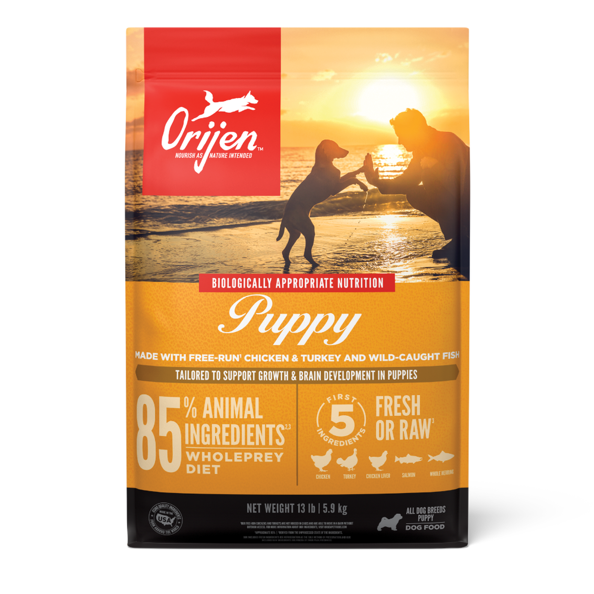 Dry puppy food ratings sale